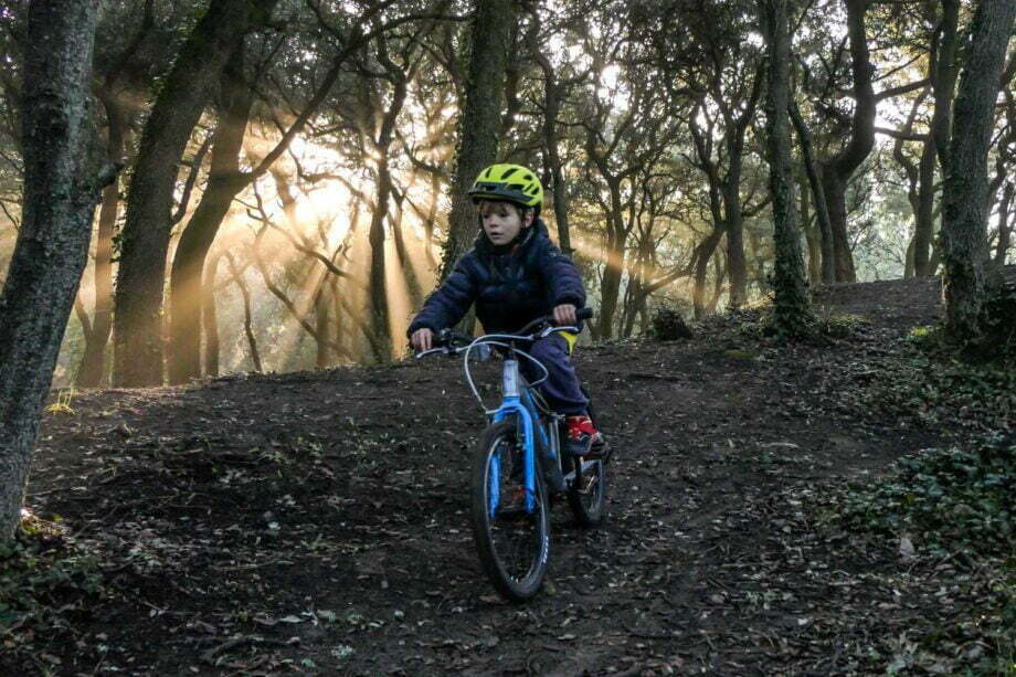 Forêt et vélo