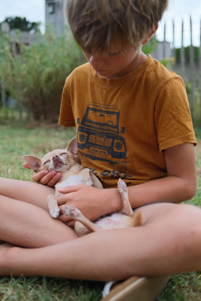promenade avec son chien près de L'Écuissière à Oléron